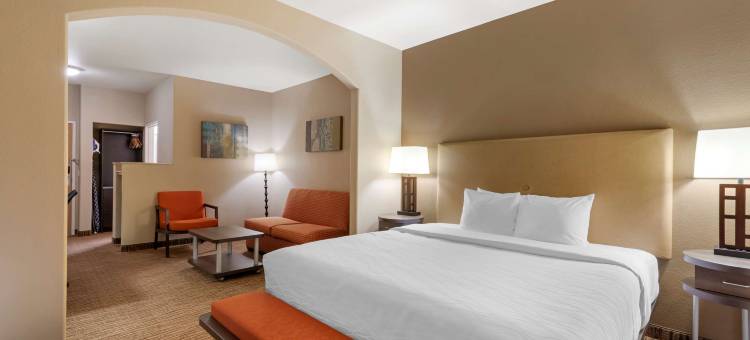 DFW机场贝斯特韦斯特优质套房酒店(Best Western Plus DFW Airport Suites)图片