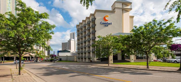 尼亚加拉瀑布舒适酒店(Comfort Inn Fallsview)图片