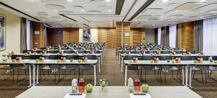 索罗拉宫酒店塞尔科特酒店(Sercotel Sorolla Palace)图片