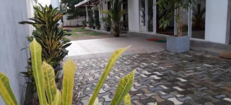 White Wall Hotel图片