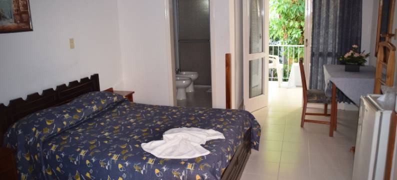 帕尔马斯德索尔酒店(Hotel Palmas del Sol)图片