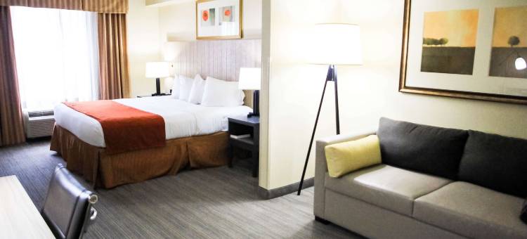 切斯特丽怡酒店(Country Inn & Suites by Radisson, Chester, VA)图片