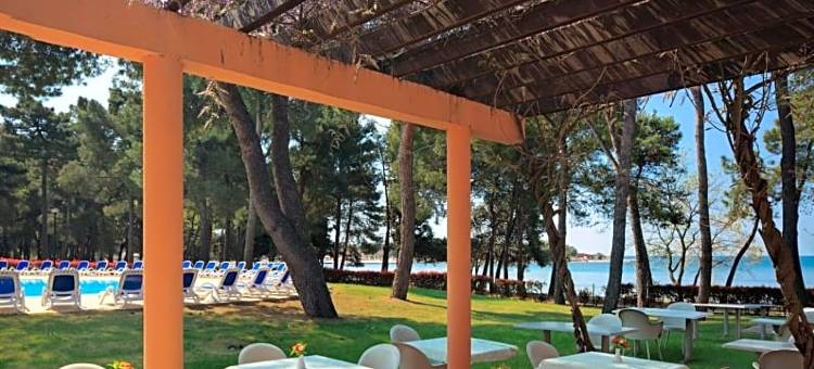 索尔奥罗拉全包酒店(Hotel Aurora Plava Laguna)图片