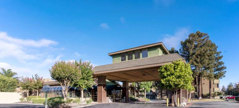 森林公园贝斯特韦斯特优质酒店(Best Western Plus Forest Park Inn)图片