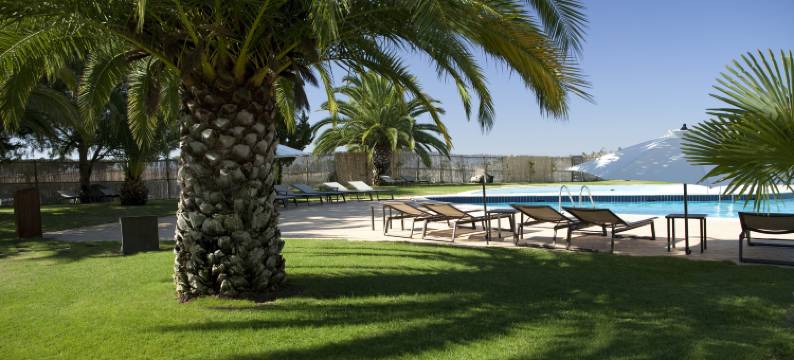 埃武拉酒店(Evora Hotel)图片