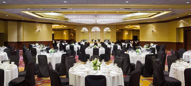 斯普林菲尔德喜来登帝王广场酒店(Sheraton Springfield Monarch Place Hotel)图片