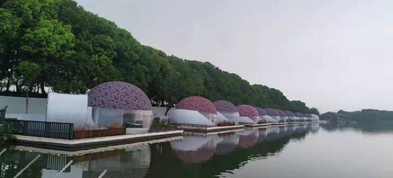 泡泡屋民宿(环太湖路分店)图片