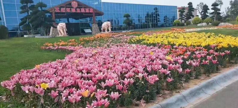 盘山花样年华主题酒店图片