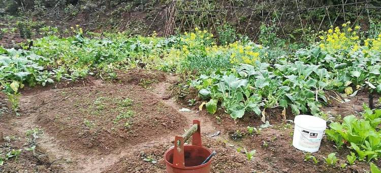 桃花湖星月居民宿图片