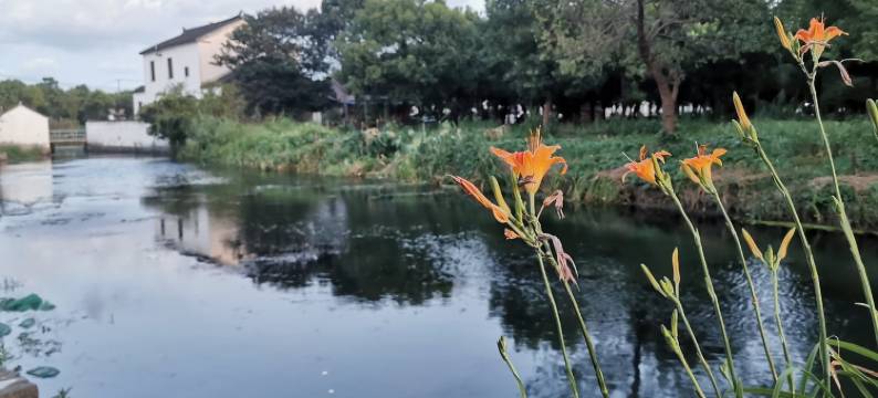 随之小院阳澄湖美人腿湖景小院四房(澄林路分店)图片