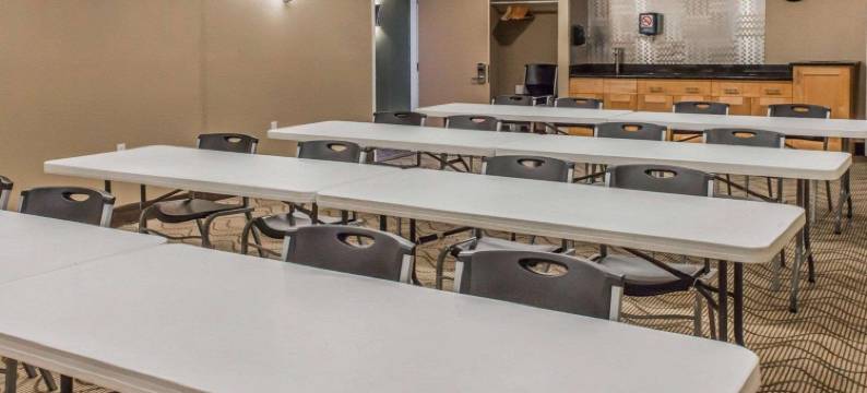 贝拉维农舒适酒店(Comfort Inn)图片