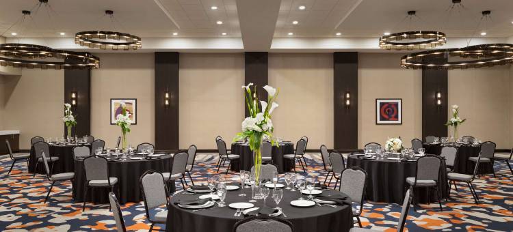 希尔顿印第安纳波利斯市中心IUPUI家木套房酒店(Homewood Suites by Hilton Indianapolis Downtown Iupui)图片