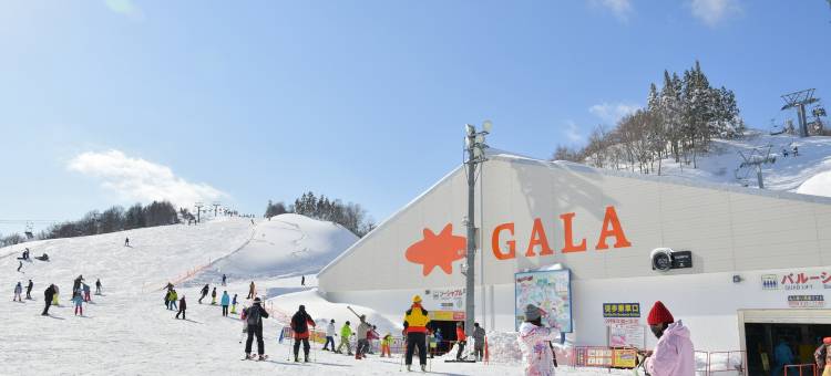 汤烟之宿雪之花(Yukinohana)图片