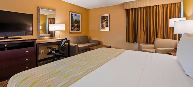贝斯特韦斯特盖洛德酒店(Best Western Gaylord)图片
