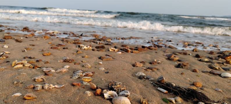 东戴河佳兆业金子公寓(东戴河大街2号分店)图片