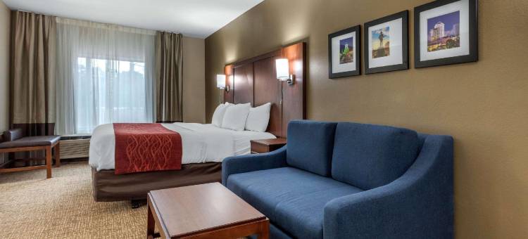 蒙哥马利东卡迈克尔路舒适套房酒店(Comfort Inn & Suites Montgomery East Carmichael Rd)图片