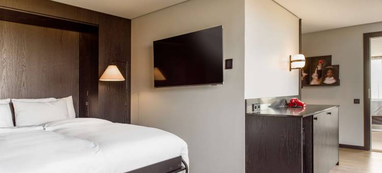 赫尔辛基丽芮酒店(Radisson Red Helsinki)图片