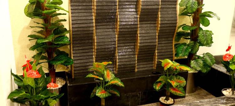 AVS帝国酒店-卡来卡(Avs Imperiaa Karaikal)图片