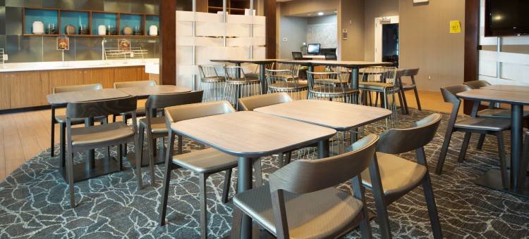费城福吉谷/普鲁士王购物中心万豪SpringHill酒店(SpringHill Suites Philadelphia Valley Forge/King of Prussia)图片