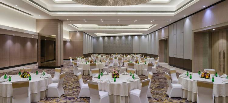 Crowne Plaza 艾哈迈达巴德市中心(Crowne Plaza Ahmedabad City Centre by IHG)图片