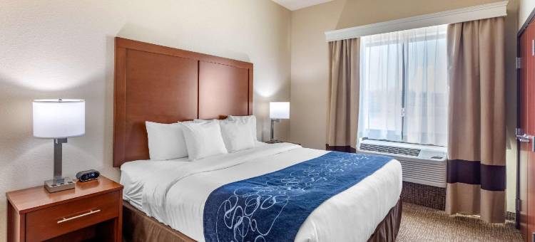 舒适套房酒店-近丹佛市区(Comfort Suites Near Denver Downtown)图片