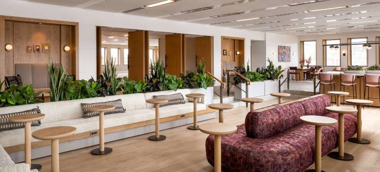 纽黑文马塞尔酒店，希尔顿启缤精选(Hotel Marcel New Haven, Tapestry Collection by Hilton)图片