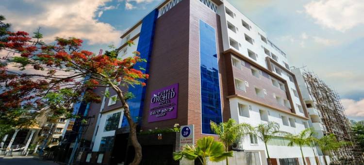 由Spree酒店提供的紫色兰花怀特菲尔德(Zip by Spree Hotels PurpleOrchid Whitefield)图片