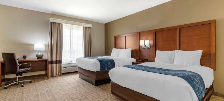 舒适套房酒店-比尤达奥斯汀南(Comfort Suites Buda - Austin South)图片