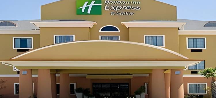 智选假日套房酒店金斯维尔(Holiday Inn Express & Suites Kingsville)图片