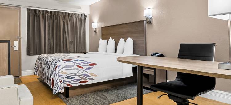 坦帕集市广场 红顶酒店(Red Roof Inn Tampa Fairgrounds - Casino)图片