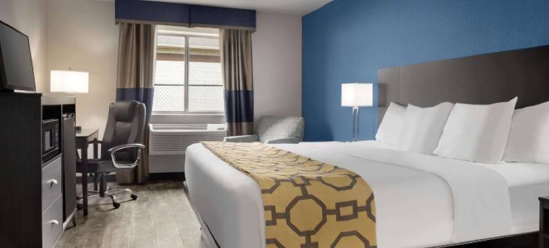 斯旺顿温德姆呗盟酒店(Baymont Inn & Suites by Wyndham Swanton/Toledo Airport)图片