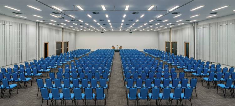 希尔顿织锦系列的Almenat Embu das Artes(Almenat Embu Das Artes, Tapestry Collection by Hilton)图片