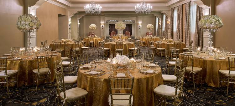 科勒尔盖布尔斯-科洛纳德酒店-傲途格精选(Hotel Colonnade Coral Gables, Autograph Collection)图片