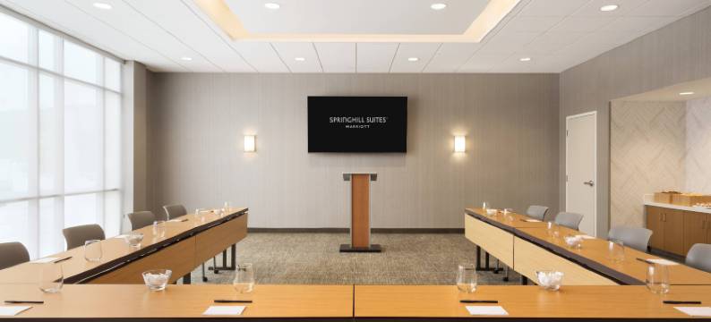 阿伦敦伯利恒森特瓦利SpringHill Suites酒店(SpringHill Suites Allentown Bethlehem/Center Valley)图片