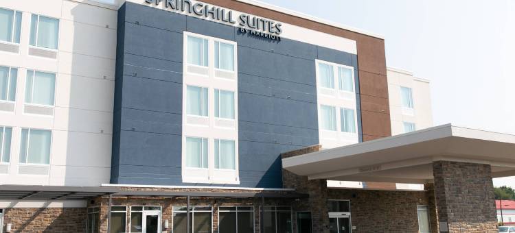 南本德北万豪SpringHill Suites酒店(SpringHill Suites South Bend Notre Dame Area)图片