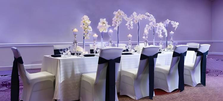 喜来登坦帕布兰登酒店(Sheraton Tampa Brandon Hotel)图片