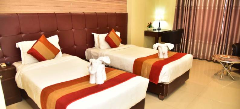 帕特里普特拉尼瓦那酒店(Hotel Patliputra Nirvanaa)图片