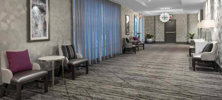 华盛顿哥伦比亚特区拉尔戈Homewood Suites by Hilton(Homewood Suites by Hilton Largo Washington D.C.)图片