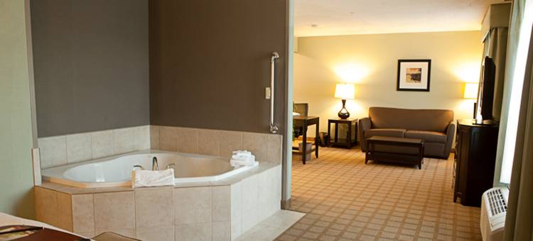 底特律坎顿欢朋套房酒店(Hampton Inn & Suites Detroit-Canton)图片