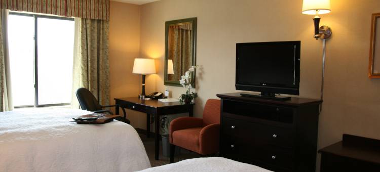 希尔顿欢朋酒店-拉斯韦加斯北赛道(Hampton Inn Las Vegas/North Speedway)图片