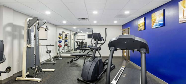 阿灵顿高地舒适套房酒店-绍姆堡(Comfort Inn & Suites Arlington Heights - Schaumburg)图片