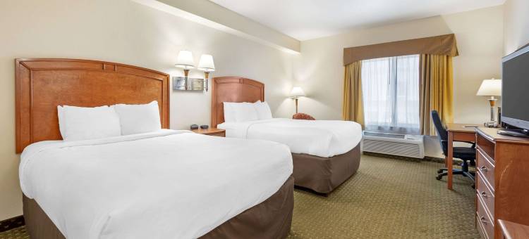 罗林斯舒适酒店(Comfort Inn & Suites)图片
