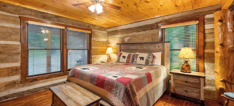 Charming Log Cabin Escape! 4 King beds, Min to Gatlinburg, Frequent bear visits!图片
