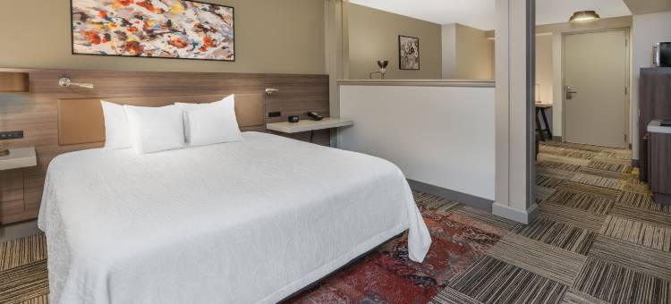 锡拉丘兹希尔顿花园酒店(Hilton Garden Inn Syracuse)图片