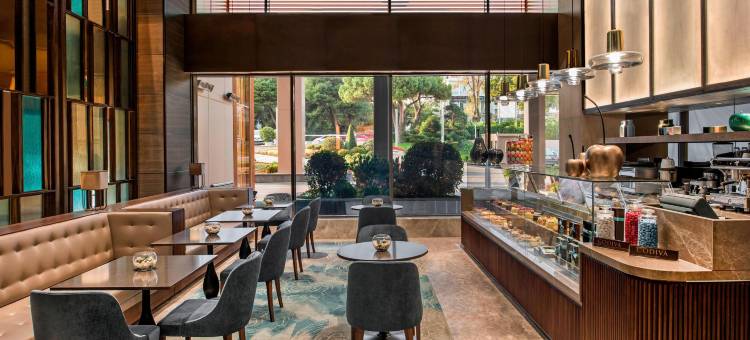 万丽波拉特伊斯坦布尔酒店(Renaissance Polat Istanbul Hotel)图片