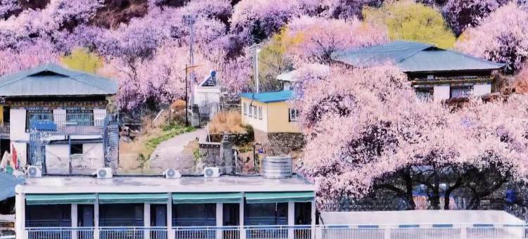 云顶庭院(索松村店)图片