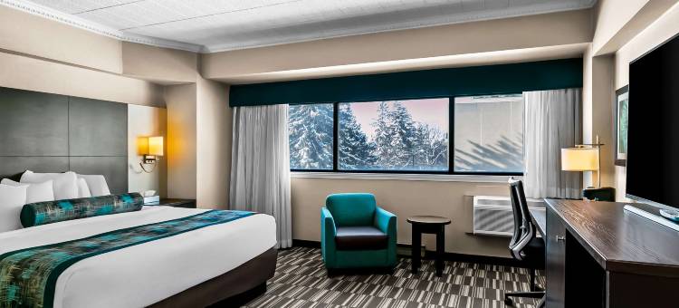 萨德伯里市中心森的特维尔贝斯特韦斯特酒店(Best Western Downtown Sudbury Centreville)图片