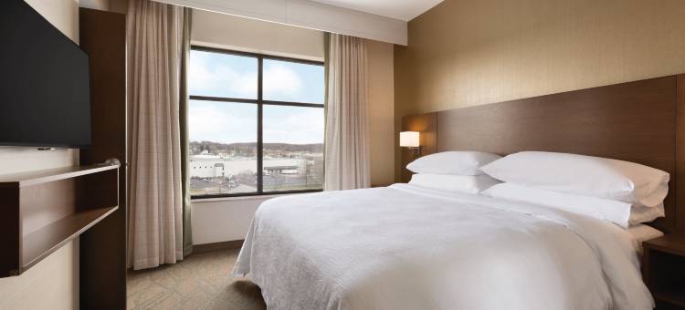 阿克伦广机场希尔顿安泊酒店(Embassy Suites by Hilton Akron Canton Airport)图片