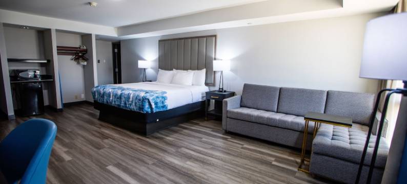 达拉斯I-35胡桃山道拉昆塔温德姆套房酒店(La Quinta Inn & Suites by Wyndham Dallas I-35 Walnut Hill Ln)图片