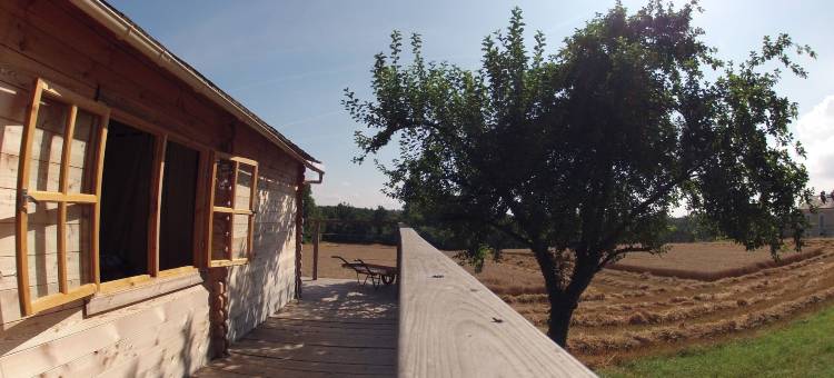 欧布瓦多蒙特度假屋(Ô Bois Dormant)图片